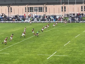 IMG_3565